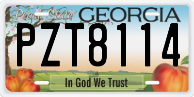 GA license plate PZT8114