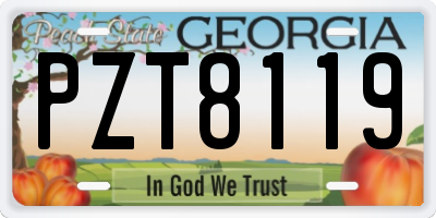 GA license plate PZT8119