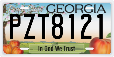 GA license plate PZT8121
