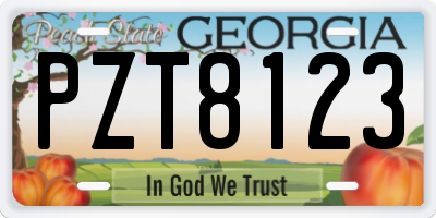GA license plate PZT8123