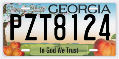 GA license plate PZT8124