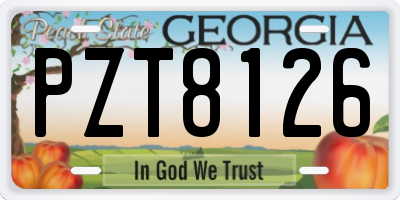 GA license plate PZT8126
