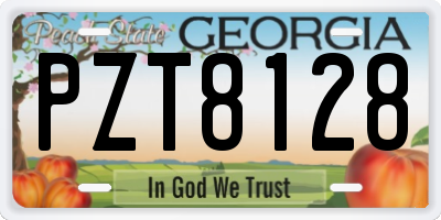 GA license plate PZT8128