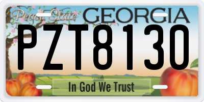 GA license plate PZT8130