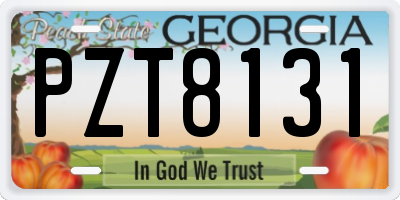GA license plate PZT8131