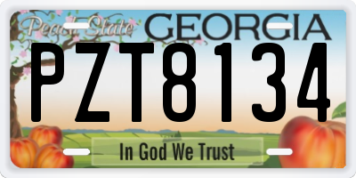 GA license plate PZT8134