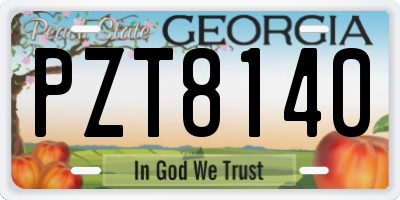 GA license plate PZT8140