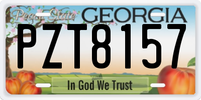 GA license plate PZT8157