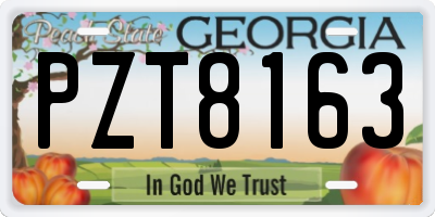 GA license plate PZT8163