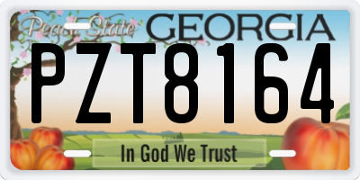 GA license plate PZT8164