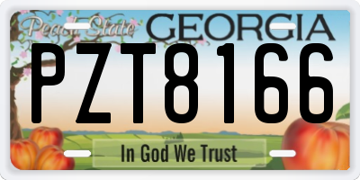 GA license plate PZT8166