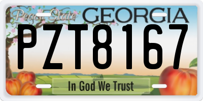 GA license plate PZT8167
