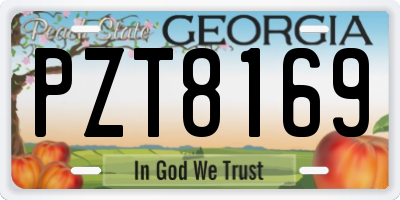 GA license plate PZT8169
