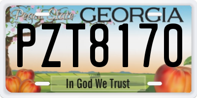 GA license plate PZT8170