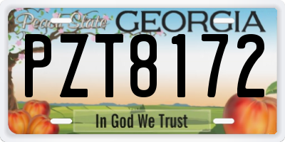 GA license plate PZT8172