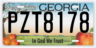 GA license plate PZT8178