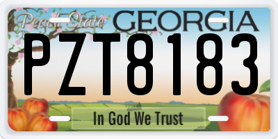 GA license plate PZT8183