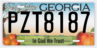 GA license plate PZT8187