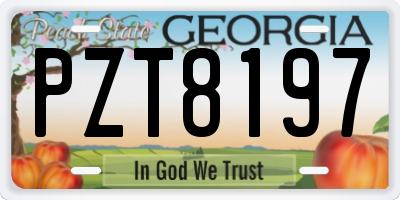 GA license plate PZT8197