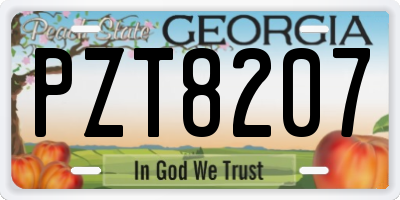GA license plate PZT8207