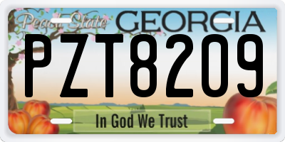 GA license plate PZT8209