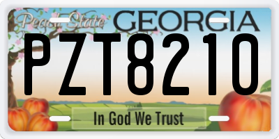 GA license plate PZT8210