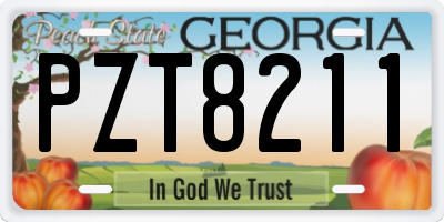 GA license plate PZT8211