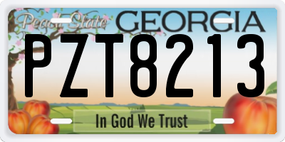 GA license plate PZT8213