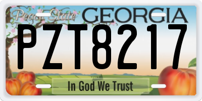 GA license plate PZT8217