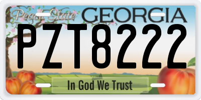 GA license plate PZT8222