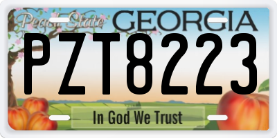 GA license plate PZT8223