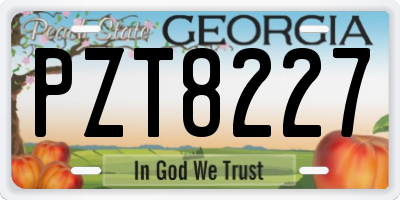 GA license plate PZT8227