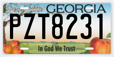 GA license plate PZT8231