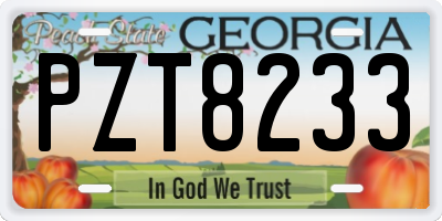GA license plate PZT8233