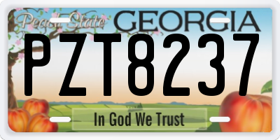 GA license plate PZT8237