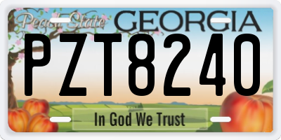 GA license plate PZT8240