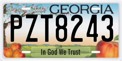 GA license plate PZT8243