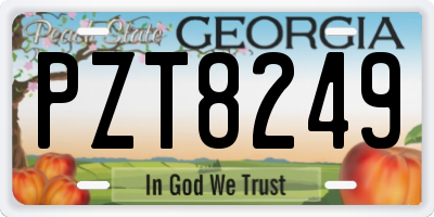 GA license plate PZT8249