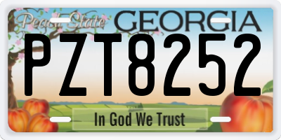 GA license plate PZT8252