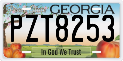 GA license plate PZT8253