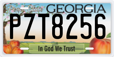 GA license plate PZT8256