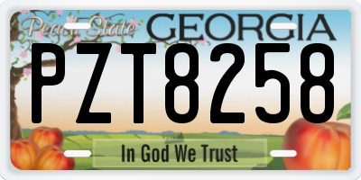 GA license plate PZT8258