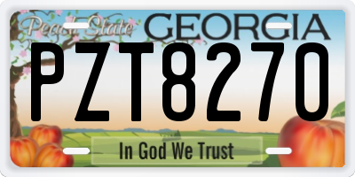 GA license plate PZT8270