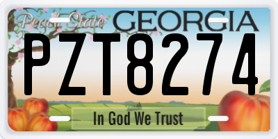 GA license plate PZT8274