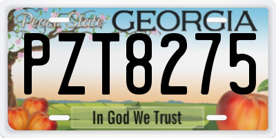 GA license plate PZT8275