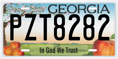 GA license plate PZT8282
