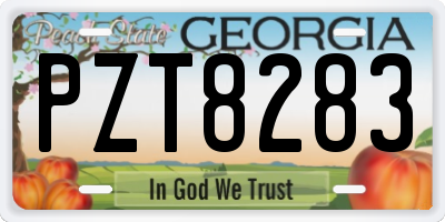 GA license plate PZT8283