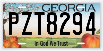 GA license plate PZT8294