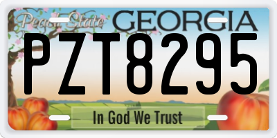 GA license plate PZT8295