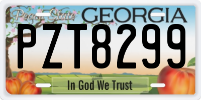 GA license plate PZT8299